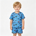 BSSO1641 Monster Truck Flags Blue Print Baby Boys Summer Clothes Set