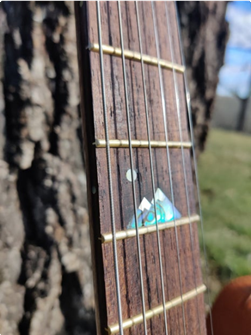 Electric Bass Guitar Build Kit - Free DIY Plans - Handmade Musical Instrument Woodworking