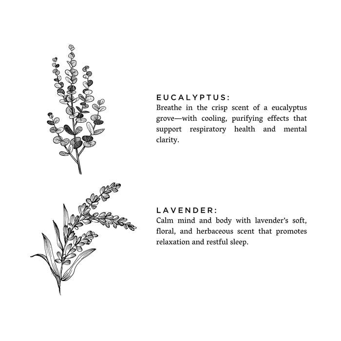 Eucalyptus + Lavender