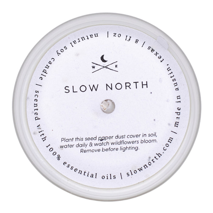 Forest Bathing - Signature Candle (Fir + Pine + Patchouli)