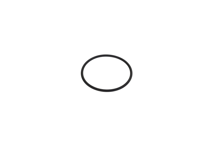 Replacement Fuel Filter Housing Oring for filter PN 27-170 thru 27-175 - Motion Raceworks